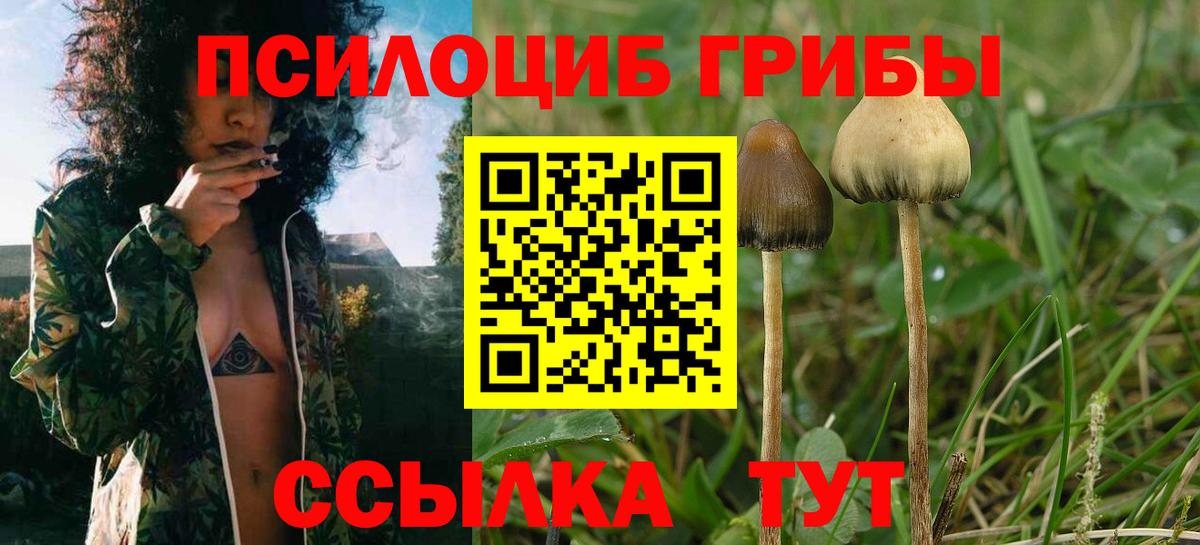 Псилоцибиновые грибы ЛСД Ставрополь